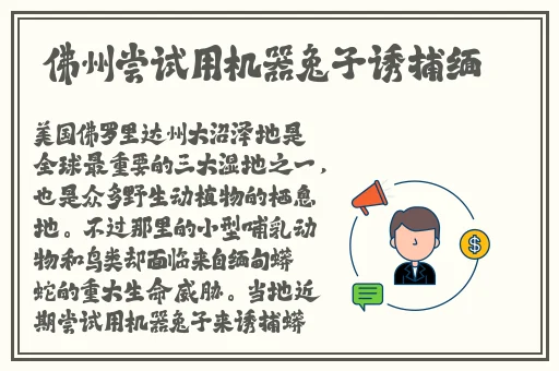 434**但人文艺术图片